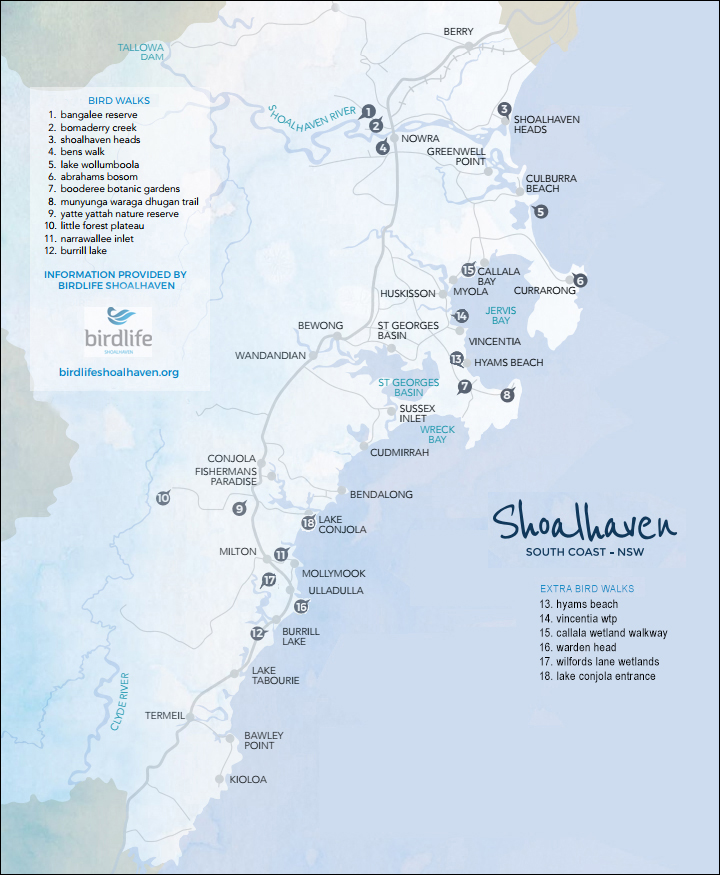 Shoalhaven Bird Walks