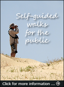 Click for more information about self-guided walks