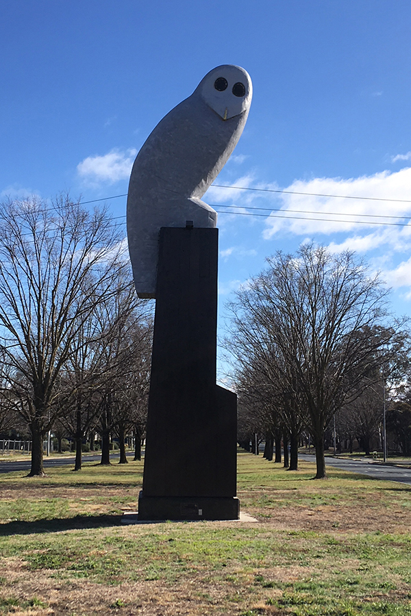 Powerful Owl by Bruce Armstrong in Belconnen ACT